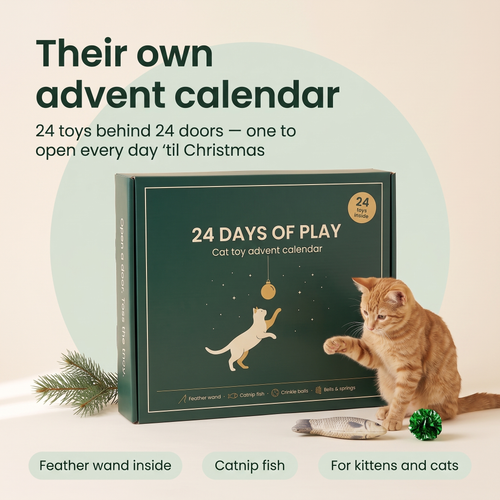 The Cat Toy Advent Calendar — 24 Toys, One Behind Every Door