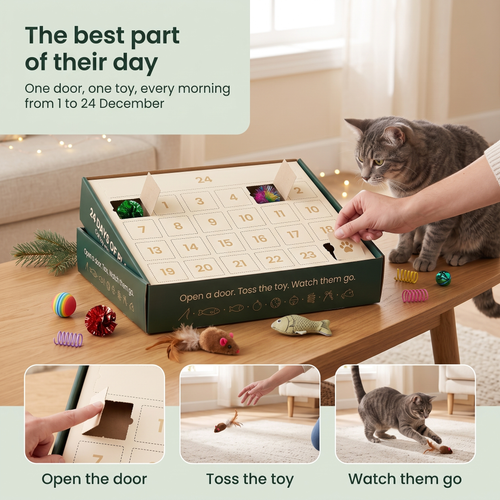 The Cat Toy Advent Calendar — 24 Toys, One Behind Every Door