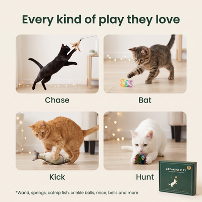 The Cat Toy Advent Calendar — 24 Toys, One Behind Every Door