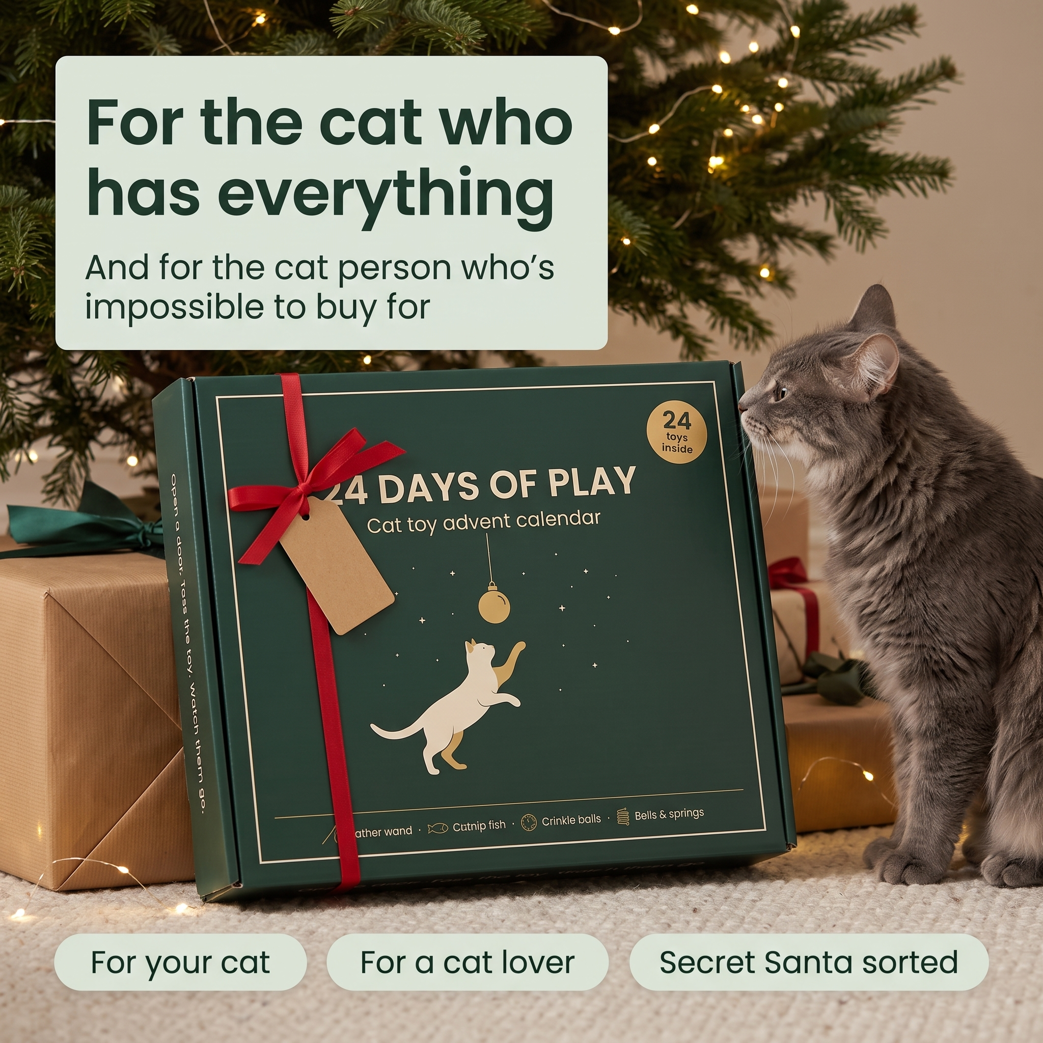 The Cat Toy Advent Calendar — 24 Toys, One Behind Every Door