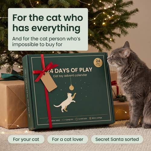 The Cat Toy Advent Calendar — 24 Toys, One Behind Every Door